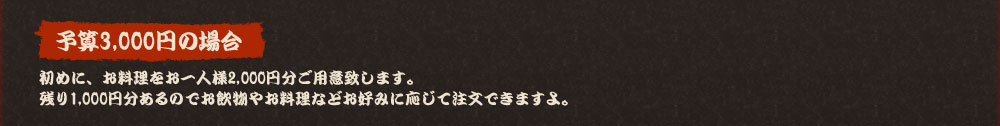 予算3,000円の場合
