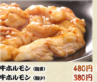 牛ホルモン（脂多）
480円
牛ホルモン（脂少）
380円